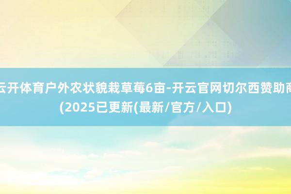 云开体育户外农状貌栽草莓6亩-开云官网切尔西赞助商(2025已更新(最新/官方/入口)