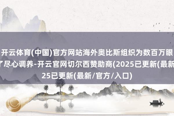 开云体育(中国)官方网站海外奥比斯组织为数百万眼疾患者提供了尽心调养-开云官网切尔西赞助商(2025已更新(最新/官方/入口)