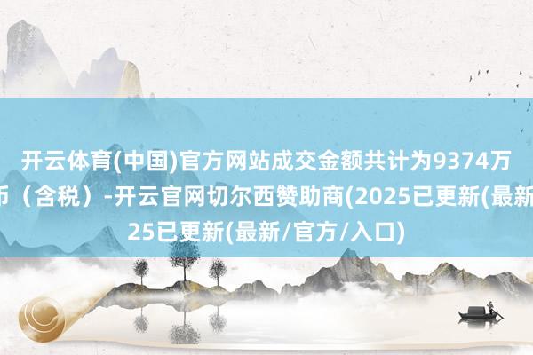 开云体育(中国)官方网站成交金额共计为9374万元东谈主民币（含税）-开云官网切尔西赞助商(2025已更新(最新/官方/入口)