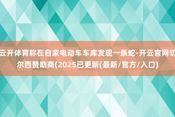 云开体育称在自家电动车车库发现一条蛇-开云官网切尔西赞助商(2025已更新(最新/官方/入口)