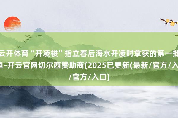 云开体育“开凌梭”指立春后海水开凌时拿获的第一批梭鱼-开云官网切尔西赞助商(2025已更新(最新/官方/入口)