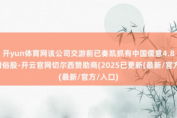 开yun体育网该公司交游前已奏凯抓有中国儒意4.88亿股庸俗股-开云官网切尔西赞助商(2025已更新(最新/官方/入口)