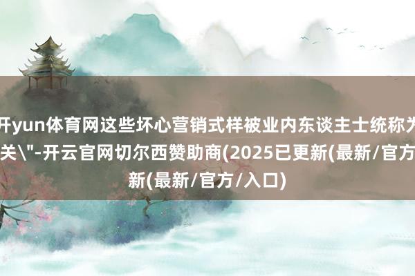 开yun体育网这些坏心营销式样被业内东谈主士统称为